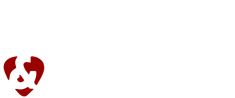 Logo Lucas & Viana